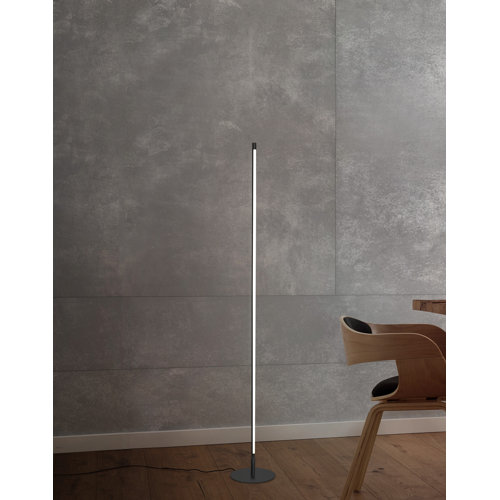 Ivy Bronx Amergin 150cm LED Novelty Floor Lamp Wayfair.co.uk